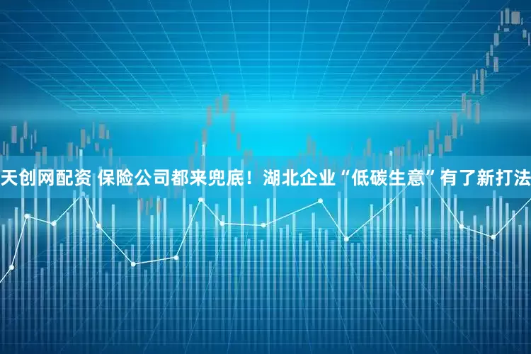 天创网配资 保险公司都来兜底！湖北企业“低碳生意”有了新打法