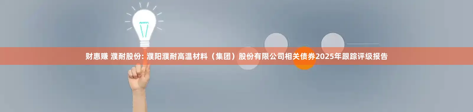 财惠赚 濮耐股份: 濮阳濮耐高温材料（集团）股份有限公司相关债券2025年跟踪评级报告